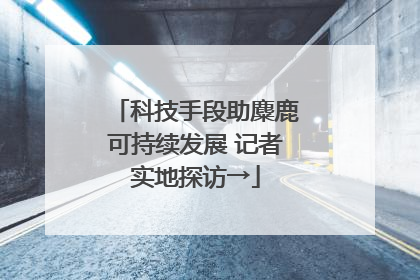 科技手段助麋鹿可持续发展 记者实地探访→